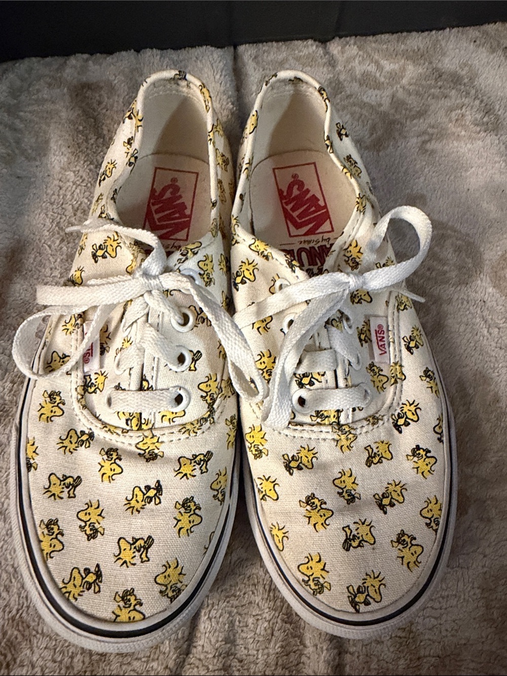 Vans x Peanuts Authentic Woodstock Sneakers Low Top